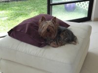 pancho ramon