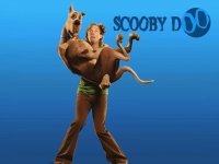 scooby doo