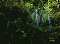 Natureza