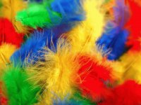 Feathers
