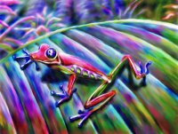Colorful little Monster