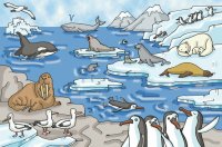 Talk plate Animals at the North Pole
