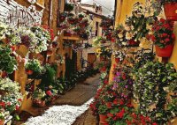 callejón florido
