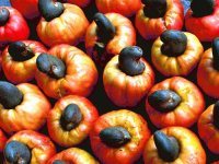 Cashew fruit