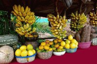 Tropical fruit St. Maarten