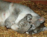 mom #148