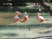 San Diego Zoo
