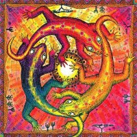 Lizards by Hannah Penn