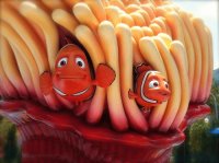 nemo