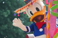 donald duck