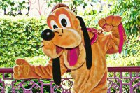 pluto