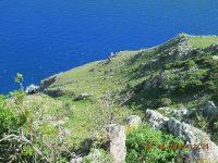 Saba