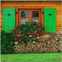 Windows in Austria