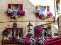 Windows in France