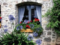 Windows in Austria