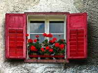 Windows in France