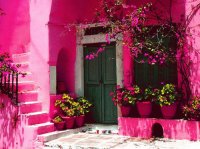 Pink House
