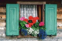 Window in Austria