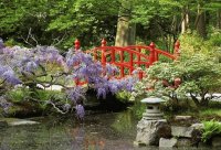 Japanese Garden Clingendael The Hague