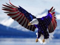 American Eagle