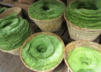 Betel leaves at the market Myanmar