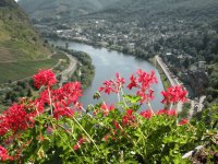 Mosel River, Germany