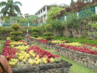 Botanical Gardens, Nevis