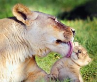mom #153