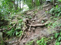 Climbing Mt. Nevis