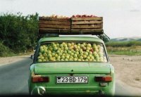 Fruit transportation Belarus