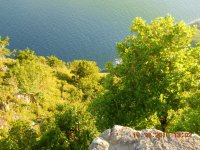 Saba