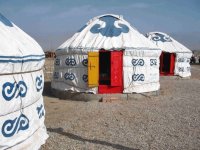 Mongolian Yurts