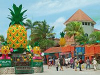 Nago Okinawa Pineapple Park