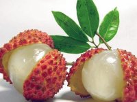 Fresh Lychee Southeast Asia