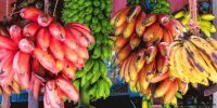 Sri Lankan Bananas in all shapes and sizes