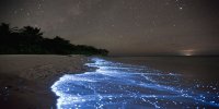 - orillas brillantes de vaadhoo,(maldivas)