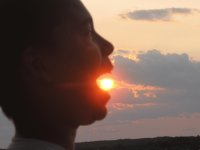 A bite of sunshine