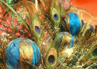 Holiday decor by Manuel Antonio