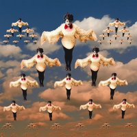 Flying as a Bird