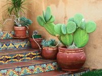 Talavera tile entryway Mexico