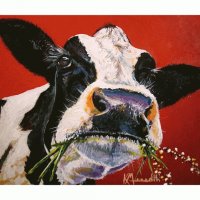 Eating Cow