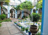 Un típico patio andaluz