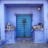Blue painted building