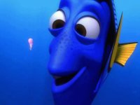 buscando a nemo