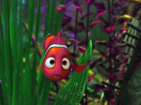 buscando a nemo