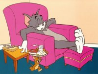 tom y jerry