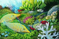 Swim between the Coral reef