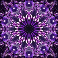 Passion Kaleidoscope