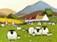 Pretty Sheeps in a row