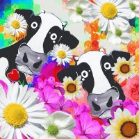 Cows between the Flowers